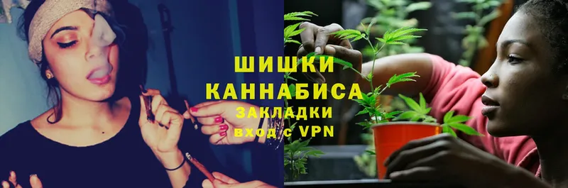 Конопля SATIVA & INDICA  Звенигород 